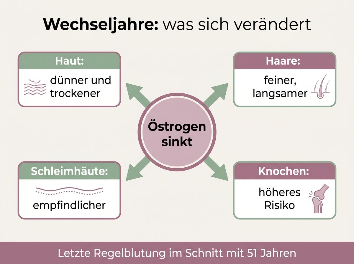Infografik: Was sich in den Wechseljahren verändert